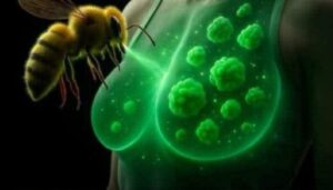 fb_img_17560436115504027213986616102933