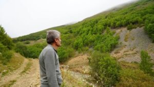 fb_img_17563063052782841391863090780014