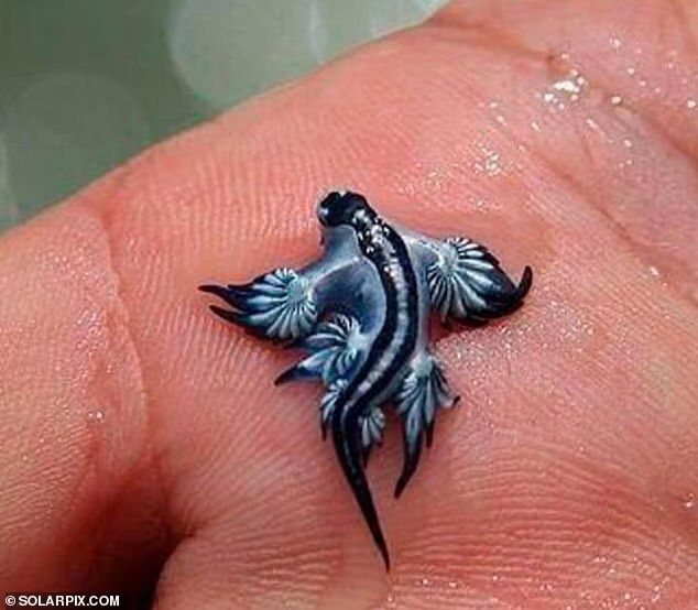 img_54722646076468375508503