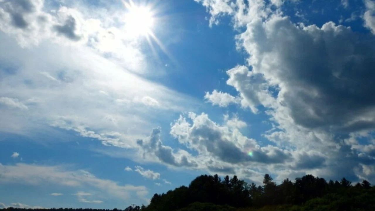 moti_diell_1-1-e1660252313227-780x470-1_sd_sd8725380716061246275