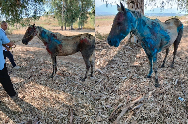 screen-shot-2025-08-14-at-212110032335547385944