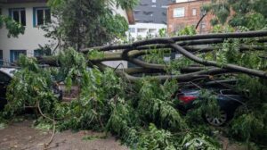 screenshot_20250830_155419_facebook8267896506484247693