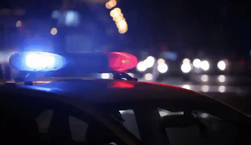 fef20d454cf00a43d7005d7f41884d26