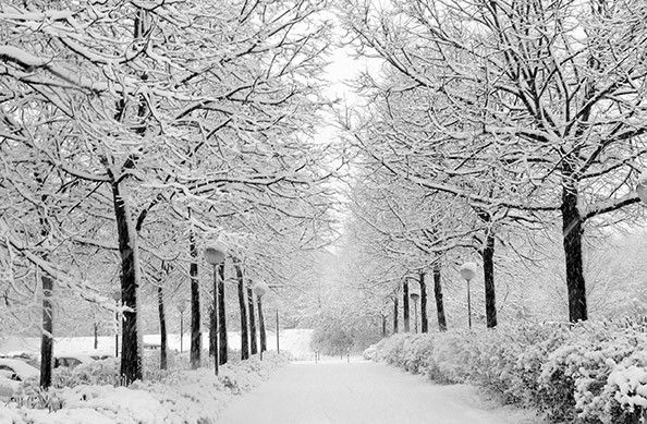 202411272200072043768062043476254