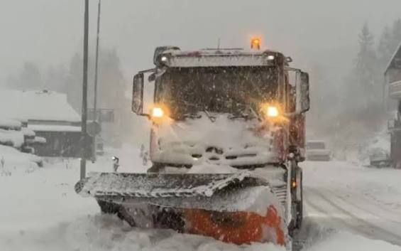 images-442078317073372936394